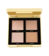 Topface Maestro1- Academy Mineralist Contour Palette