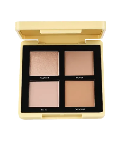 Topface Maestro1- Academy Mineralist Contour Palette
